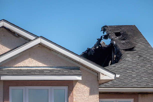 Top rated local Fire Damage Removal specialists in Richwood, TX